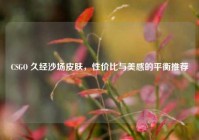 CSGO 久经沙场皮肤，性价比与美感的平衡推荐