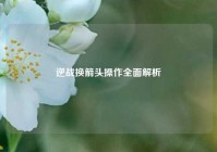 逆战换箭头操作全面解析