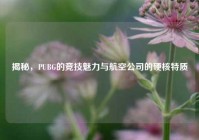 揭秘，PUBG的竞技魅力与航空公司的硬核特质