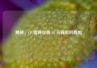 揭秘，CF 雷神仅售 48 元背后的真相