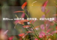 我的Steam 500级历程，游戏探索、成长与花费探寻