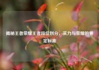 揭秘王者荣耀王者段位划分，实力与荣耀的界定标准