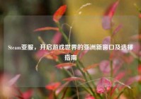 Steam亚服，开启游戏世界的亚洲新窗口及选择指南