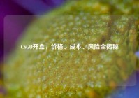 CSGO开盒，价格、成本、风险全揭秘