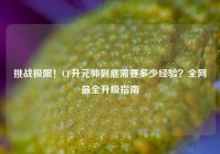 挑战极限！CF升元帅到底需要多少经验？全网最全升级指南