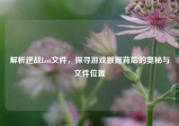 解析逆战Lon文件，探寻游戏数据背后的奥秘与文件位置