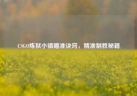 CSGO炼狱小镇瞄准诀窍，精准制胜秘籍