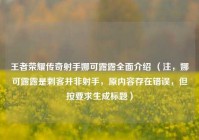 王者荣耀传奇射手娜可露露全面介绍 （注，娜可露露是刺客并非射手，原内容存在错误，但按要求生成标题）