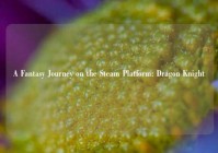 A Fantasy Journey on the Steam Platform: Dragon Knight