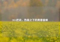 2014逆战，热血之下的青春留痕