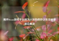 揭开Steam游戏平台鲜为人知的奇妙之处及秘密遗忘解决