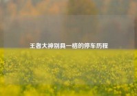 王者大神别具一格的停车历程