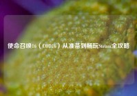 使命召唤16（COD16）从准备到畅玩Steam全攻略