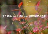 深入解析，Igex 上绑定 Steam 账号的方法与要点