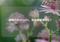 神秘代码cf11852393，背后隐藏着什么？