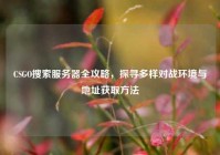 CSGO搜索服务器全攻略，探寻多样对战环境与地址获取方法