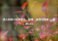 深入剖析CF检测模块，原理、应用与发展（cf检测23.0）