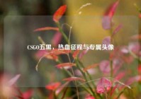 CSGO五黑，热血征程与专属头像
