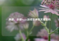 网速，连接Steam游戏世界的关键密码