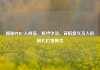 揭秘PUBG人机服，独特体验、背后意义及人机模式位置探寻