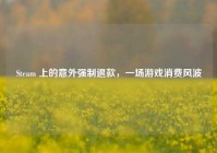 Steam 上的意外强制退款，一场游戏消费风波