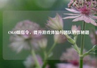 CSGO组指令，提升游戏体验与团队协作秘籍