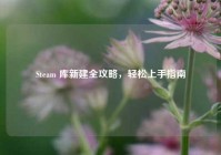 Steam 库新建全攻略，轻松上手指南