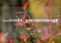 Steam号与完美号，游戏账号背后的关联及故事