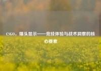 CSGO，爆头显示——竞技体验与战术洞察的核心要素