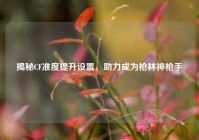 揭秘CF准度提升设置，助力成为枪林神枪手