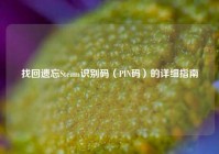 找回遗忘Steam识别码（PIN码）的详细指南