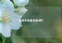 逆战天启是否有4把？