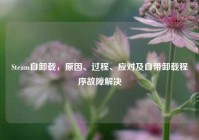 Steam自卸载，原因、过程、应对及自带卸载程序故障解决