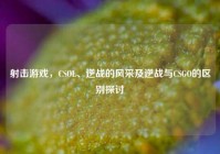 射击游戏，CSOL、逆战的风采及逆战与CSGO的区别探讨