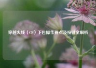 穿越火线（CF）下包操作要点及按键全解析