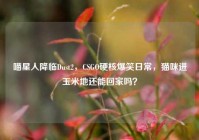 喵星人降临Dust2，CSGO硬核爆笑日常，猫咪进玉米地还能回家吗？