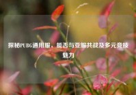 探秘PUBG通用服，能否与亚服共战及多元竞技魅力