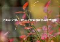 PUBG闪光弹，白色闪光特效的视觉与战术探秘