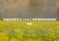 电脑玩绝地求生（PUBG）突然黑屏的原因深度剖析