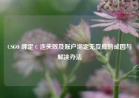 CSGO 绑定 C 连失败及账户绑定无反应的成因与解决办法