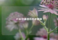 PUBG中最值钱的平底锅
