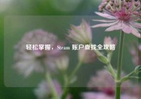 轻松掌握，Steam 账户查找全攻略