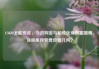 CSGO王蛇传说，当迈阿密与蛇咬化身财富图腾，顶级库存究竟价值几何？