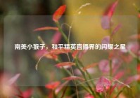 南美小猴子，和平精英直播界的闪耀之星