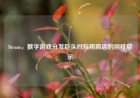Steam，数字游戏分发巨头对应用商店的别样启示