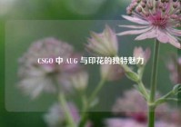 CSGO 中 AUG 与印花的独特魅力