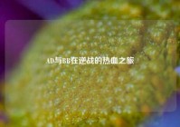 AD与BB在逆战的热血之旅