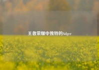 王者荣耀中独特的Adger