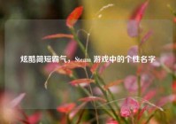炫酷简短霸气，Steam 游戏中的个性名字