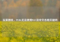 玩家困扰，PUBG无法使用WiFi及中文名相关疑问